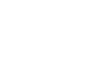 ALEGO(アレーゴ)